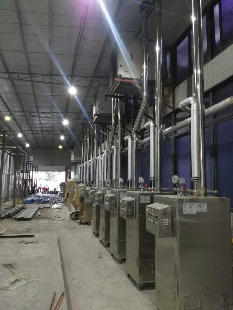 生物科技10臺100kg燃氣爐工程案例